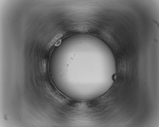 X0000102270120200808011436