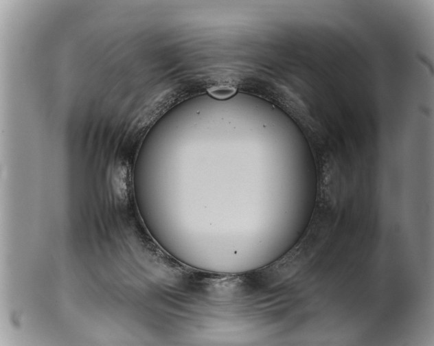 X0000102270122200808011436