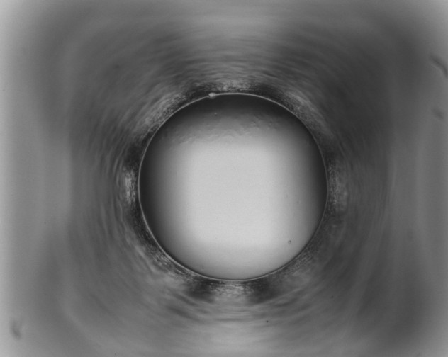 X0000102270123200808011436