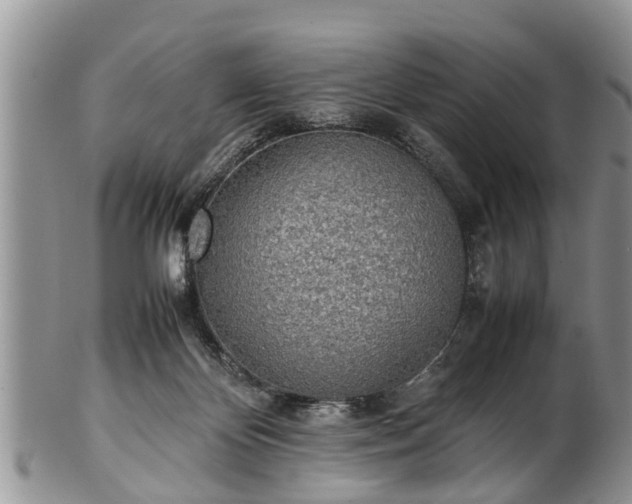 X0000102270124200808011436