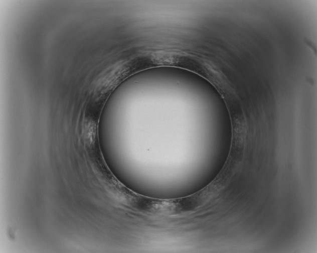 X0000102270125200808011436