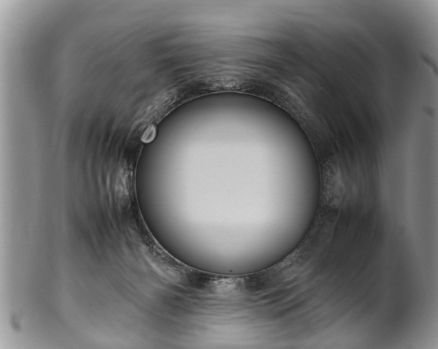 X0000102270126200808011436