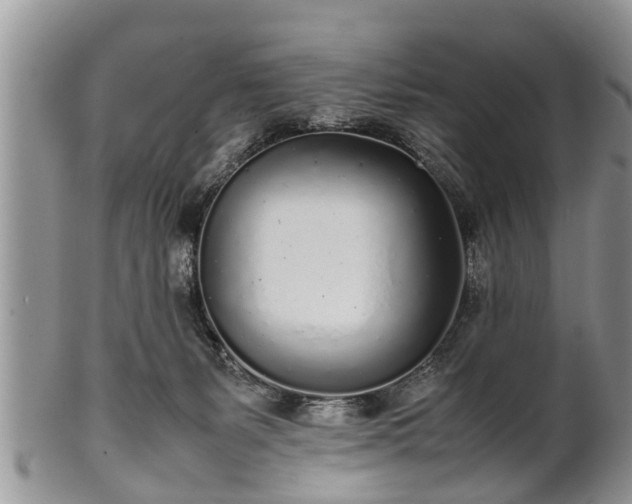 X0000102270127200808011436