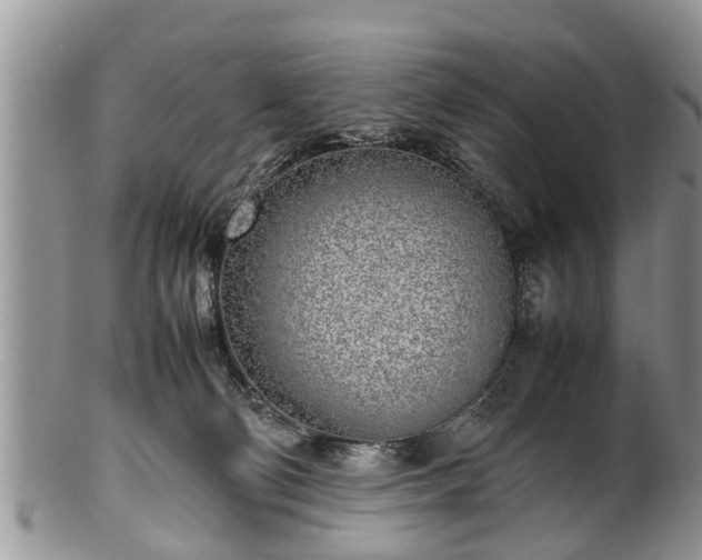 X0000102270130200808011436