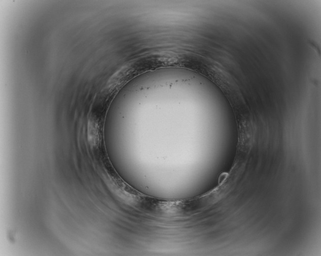 X0000102270136200808011436