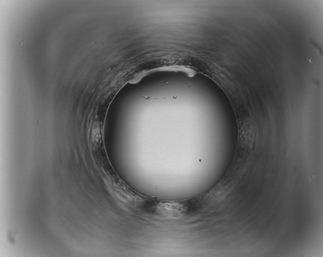 X0000102270137200808011436