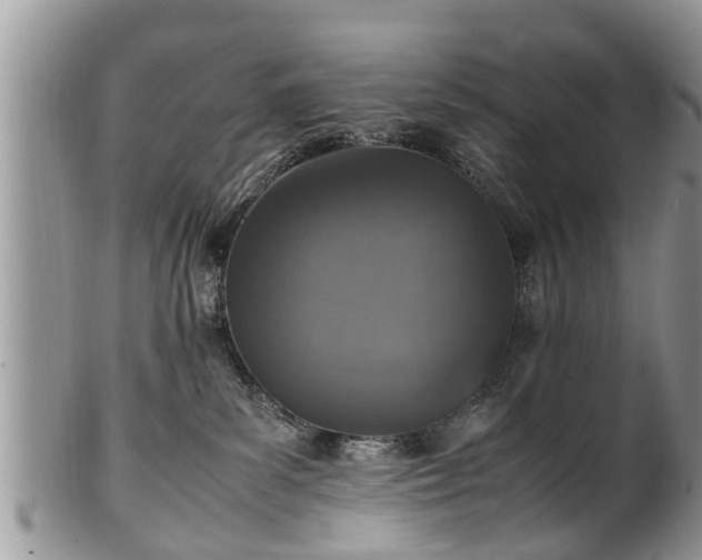 X0000102270139200808011436