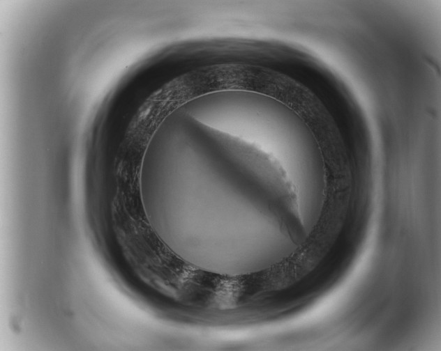 X0000102270143200808011436