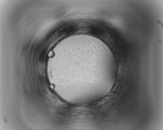 X0000102270146200808011435