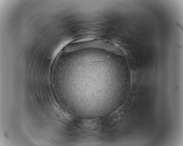 X0000102270147200808011435