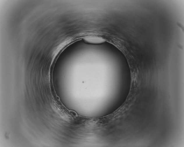 X0000102270148200808011435