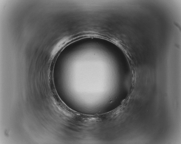 X0000102270151200808011435
