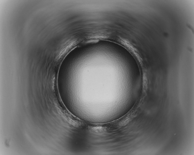 X0000102270153200808011435