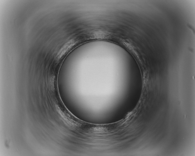 X0000102270154200808011435