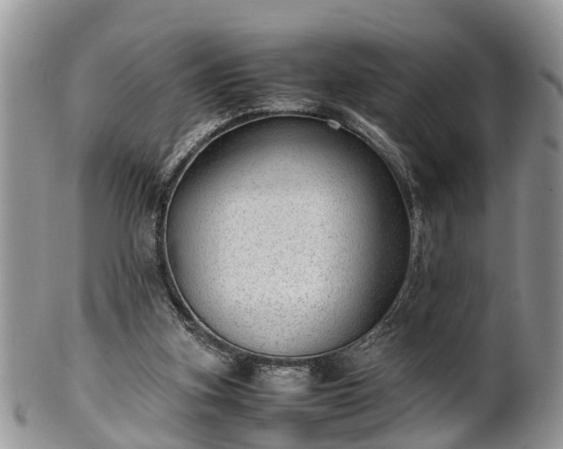 X0000102270155200808011435