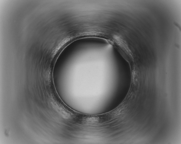 X0000102270156200808011435