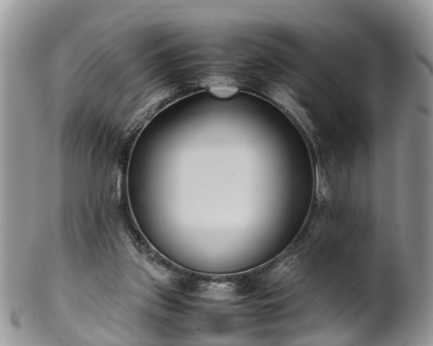 X0000102270157200808011435