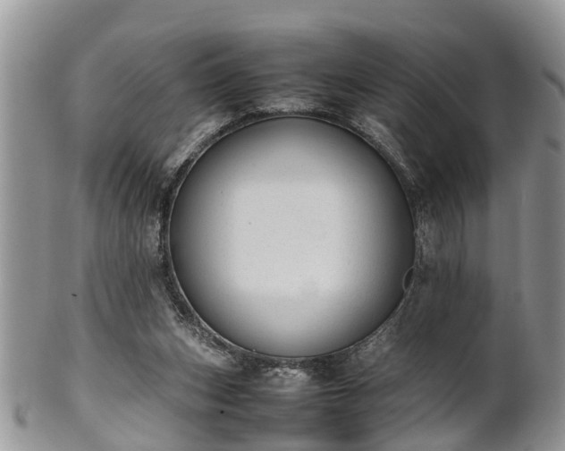 X0000102270159200808011435