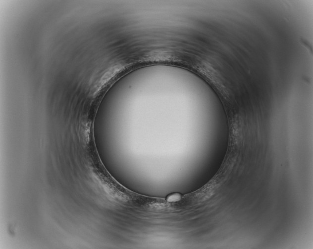 X0000102270160200808011435