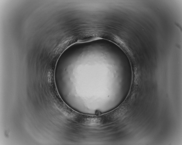 X0000102270161200808011436