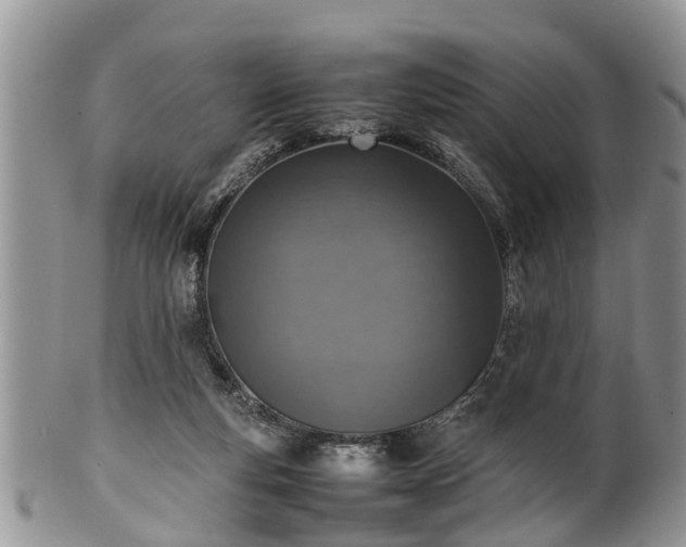 X0000102270163200808011436