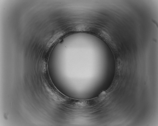 X0000102270164200808011436