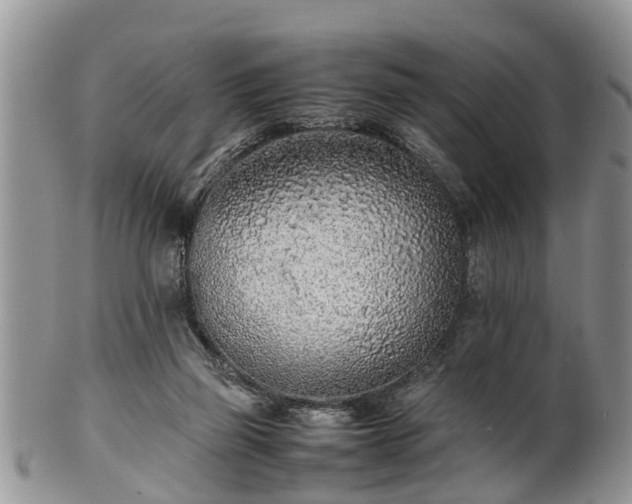 X0000102270165200808011436