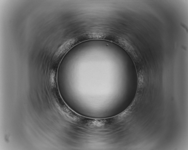 X0000102270166200808011436