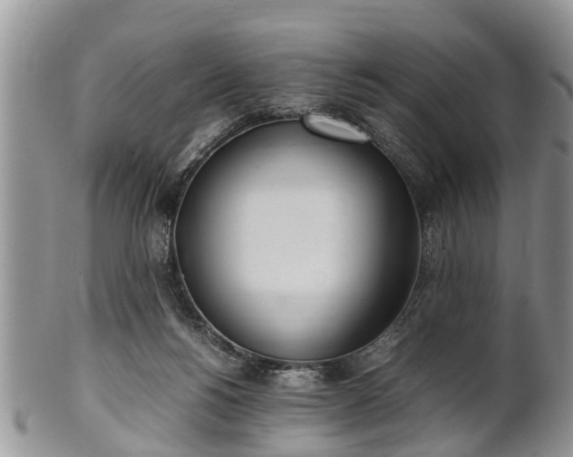 X0000102270168200808011436