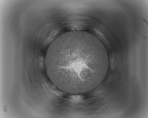 X0000102270169200808011436