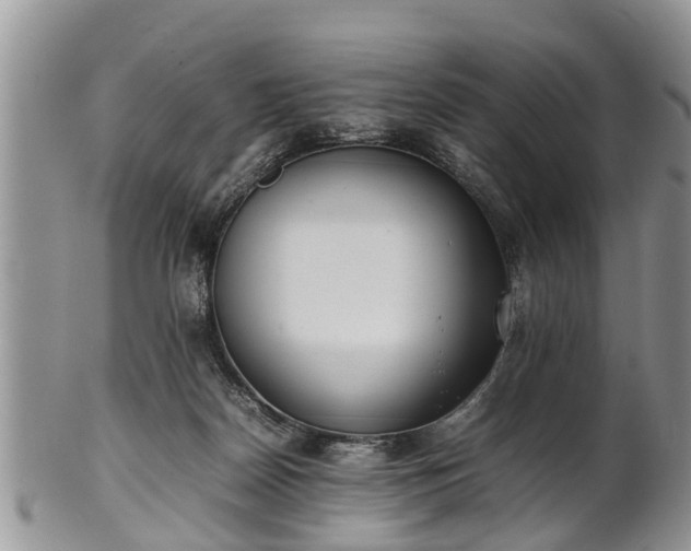 X0000102270170200808011436