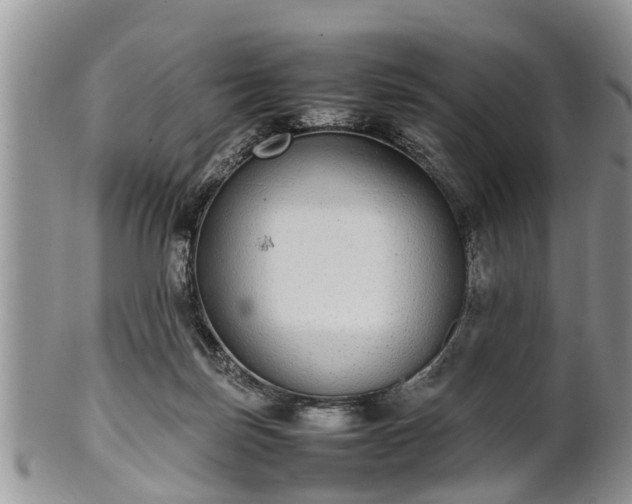 X0000102270171200808011436