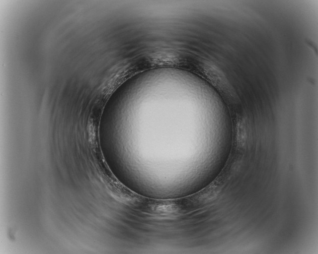 X0000102270173200808011436
