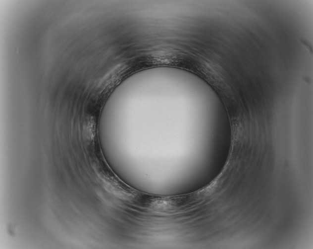 X0000102270174200808011436