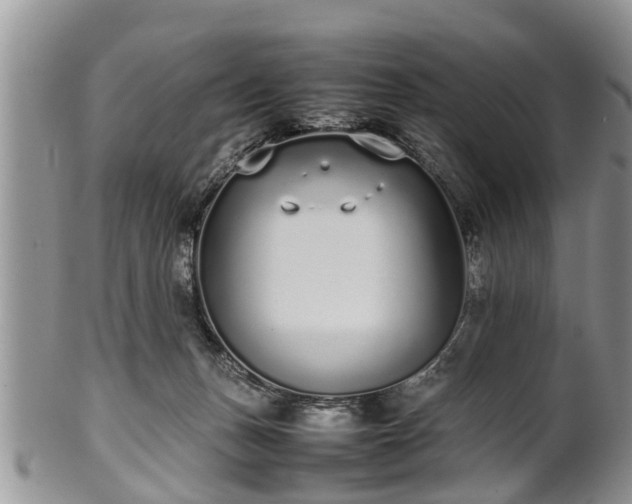 X0000102270175200808011436