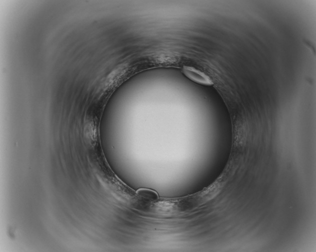 X0000102270176200808011436