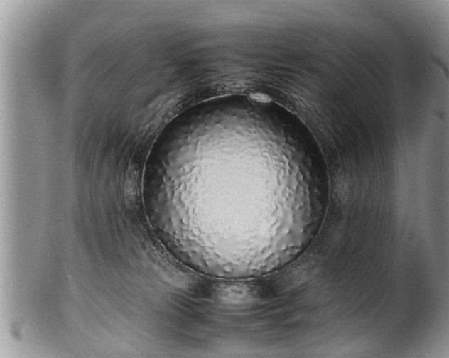X0000102270181200808011436