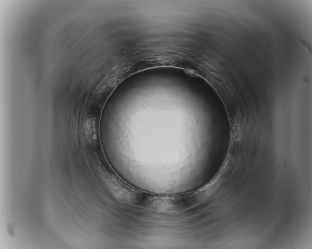 X0000102270182200808011436