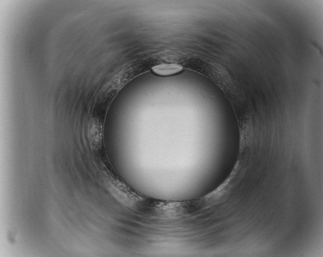 X0000102270186200808011436