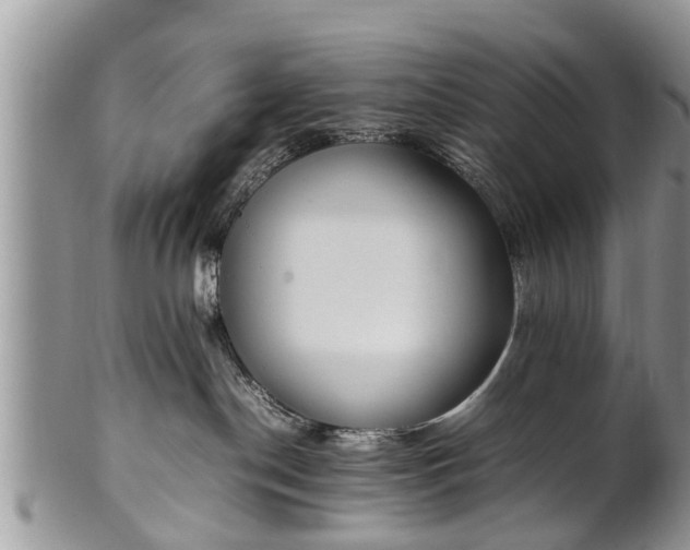 X0000102270190200808011436