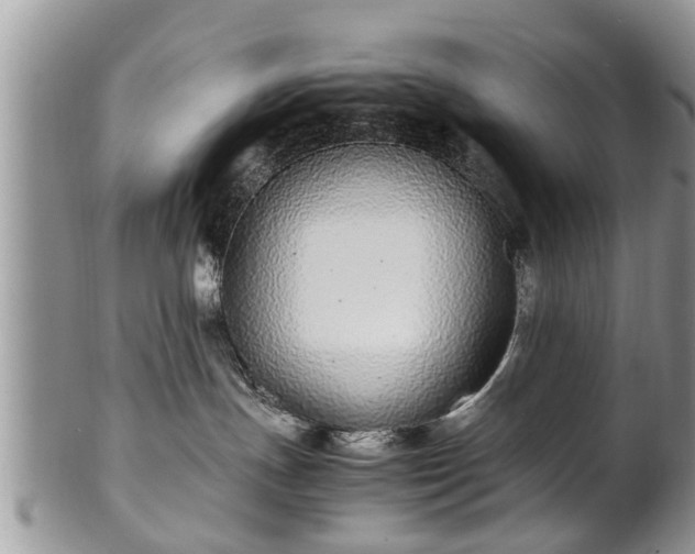 X0000102270191200808011436
