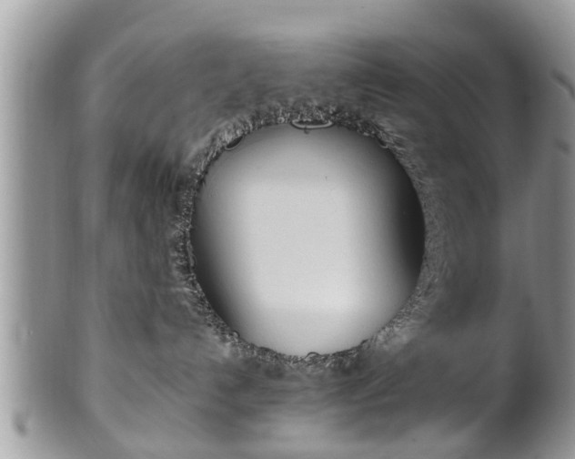 X0000102270192200808011436