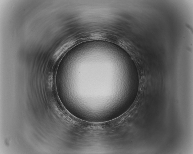 X0000102270194200808011435