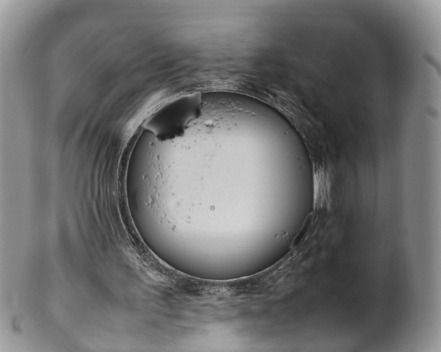 X0000102270195200808011435