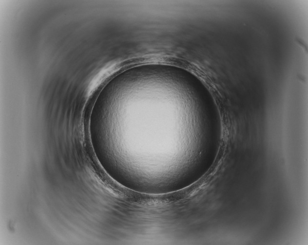 X0000102270198200808011435