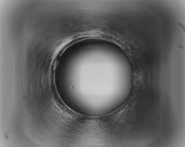X0000102270200200808011435