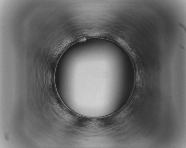 X0000102270201200808011435