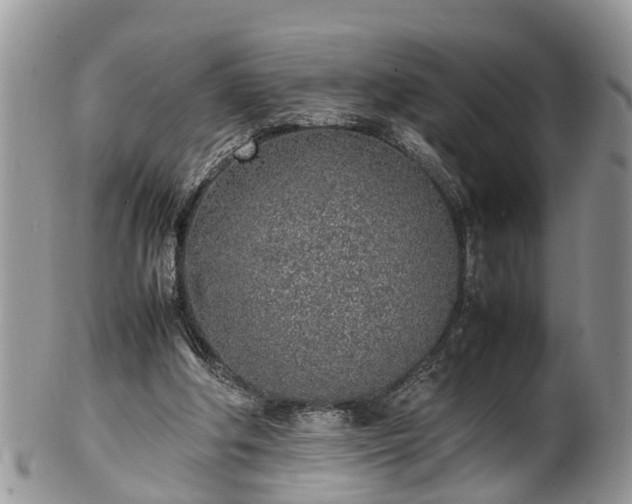 X0000102270202200808011435