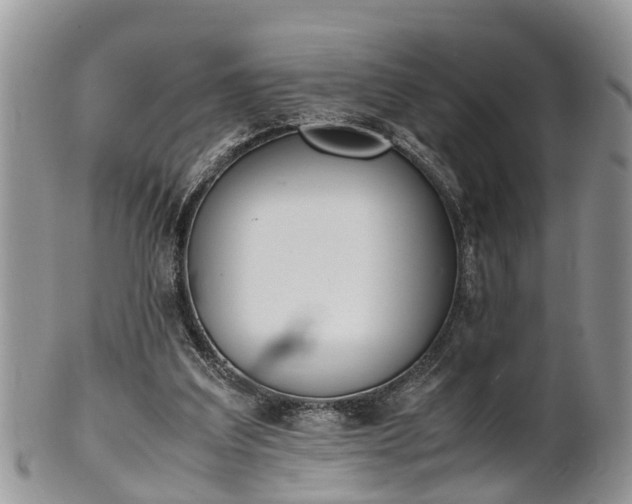 X0000102270203200808011435