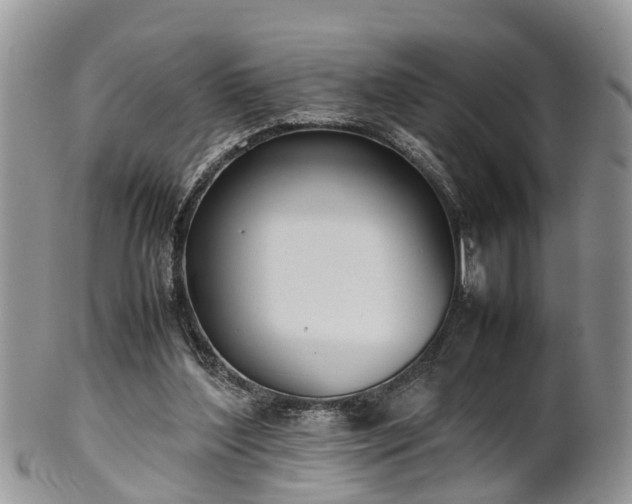 X0000102270204200808011435